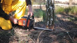 Best Lot and Land Clearing  in Mukilteo, WA