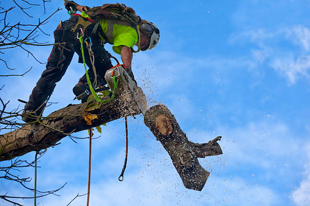 Best Lawn Watering Services  in Mukilteo, WA